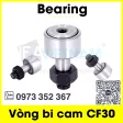 cf30