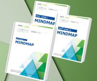 CFA 2024 Mindmap Level3