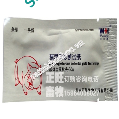 Que thử thai cho lợn