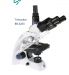 kinh-hien-vi-3-mat-euromex-bb-4253-1924j