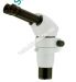 kinh-hien-vi-sinh-hoc-szp-8-2181j400x400
