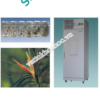 Tủ nuôi cấy Firstek Scientific GC-101