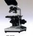 Gemmy-PB-3620