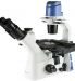 Oxion Inverso OX.2053-PLPH