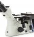 OX.2653-PLM