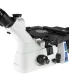 OX.2653-2153-PLM