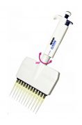 Micropipet 12 kênh 5 – 50ul WITOPET Economy 5 403 205 WITEG Đức