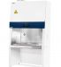 BSC-B-B2-new-2