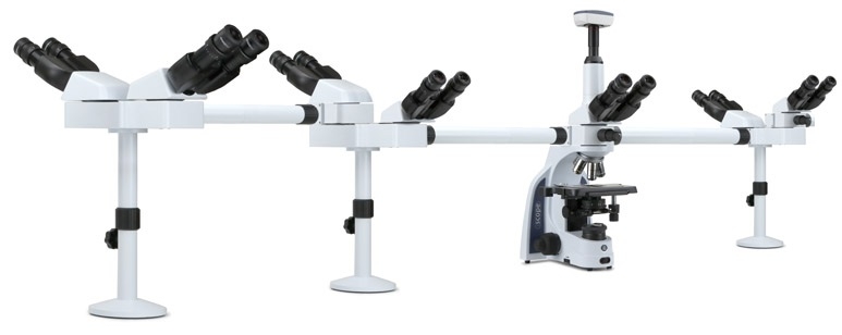 Kính hiển vi sinh học 7 người quan sát IS.1156-Pli7 Euromex