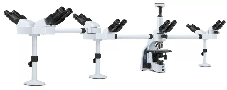 Kính hiển vi sinh học 7 người quan sát IS.1156-Pli7 Euromex