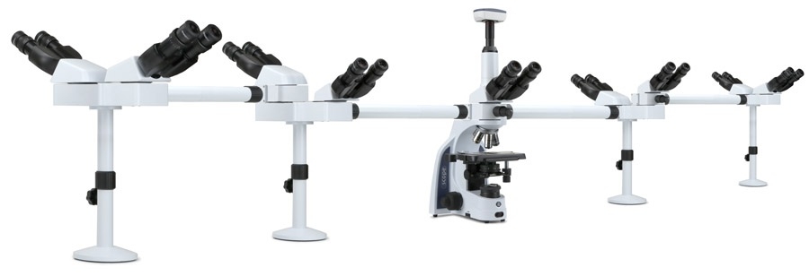 Kính hiển vi sinh học 9 người quan sát IS.1156-Pli9 Euromex