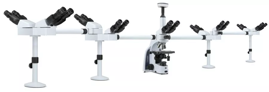 Kính hiển vi sinh học 9 người quan sát IS.1156-Pli9 Euromex