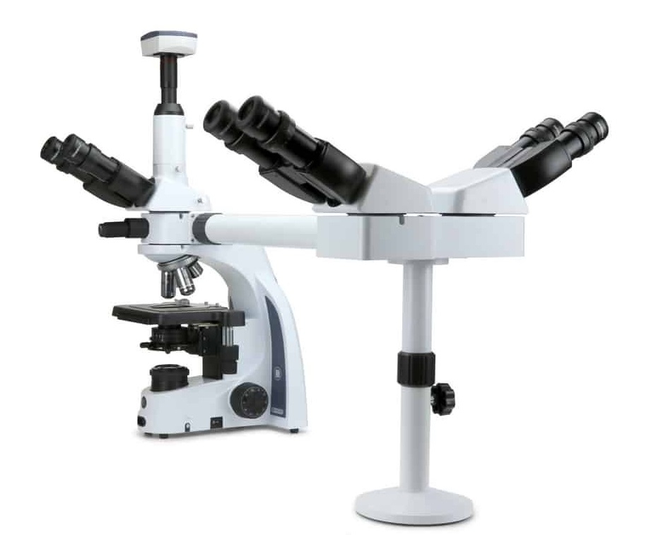 Kính hiển vi sinh học 3 người quan sát IS.1156-Pli3 Euromex