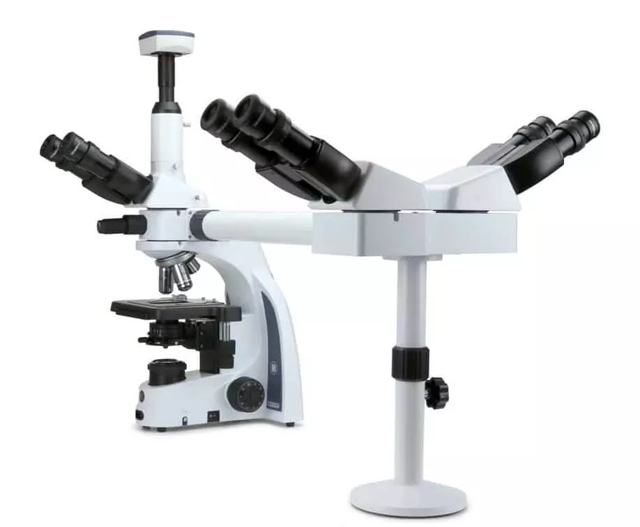 Kính hiển vi sinh học 3 người quan sát IS.1156-Pli3 Euromex