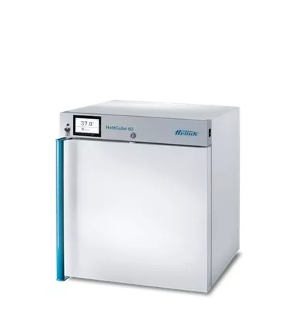 Tủ ấm vi sinh 56 lít, 65oC, đối lưu cưỡng bức HETTCUBE 60 Hettich