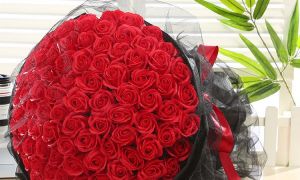 Bán buôn, bán lẻ hoa sáp giá rẻ - Maika Flower
