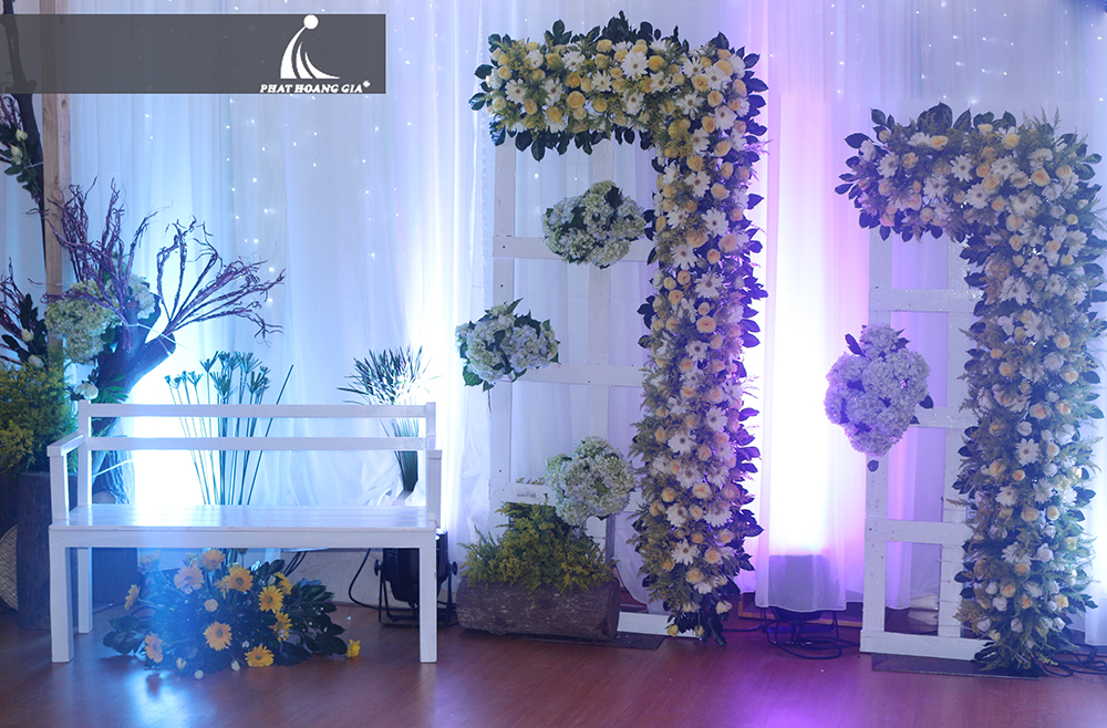 trang trí background chụp hình