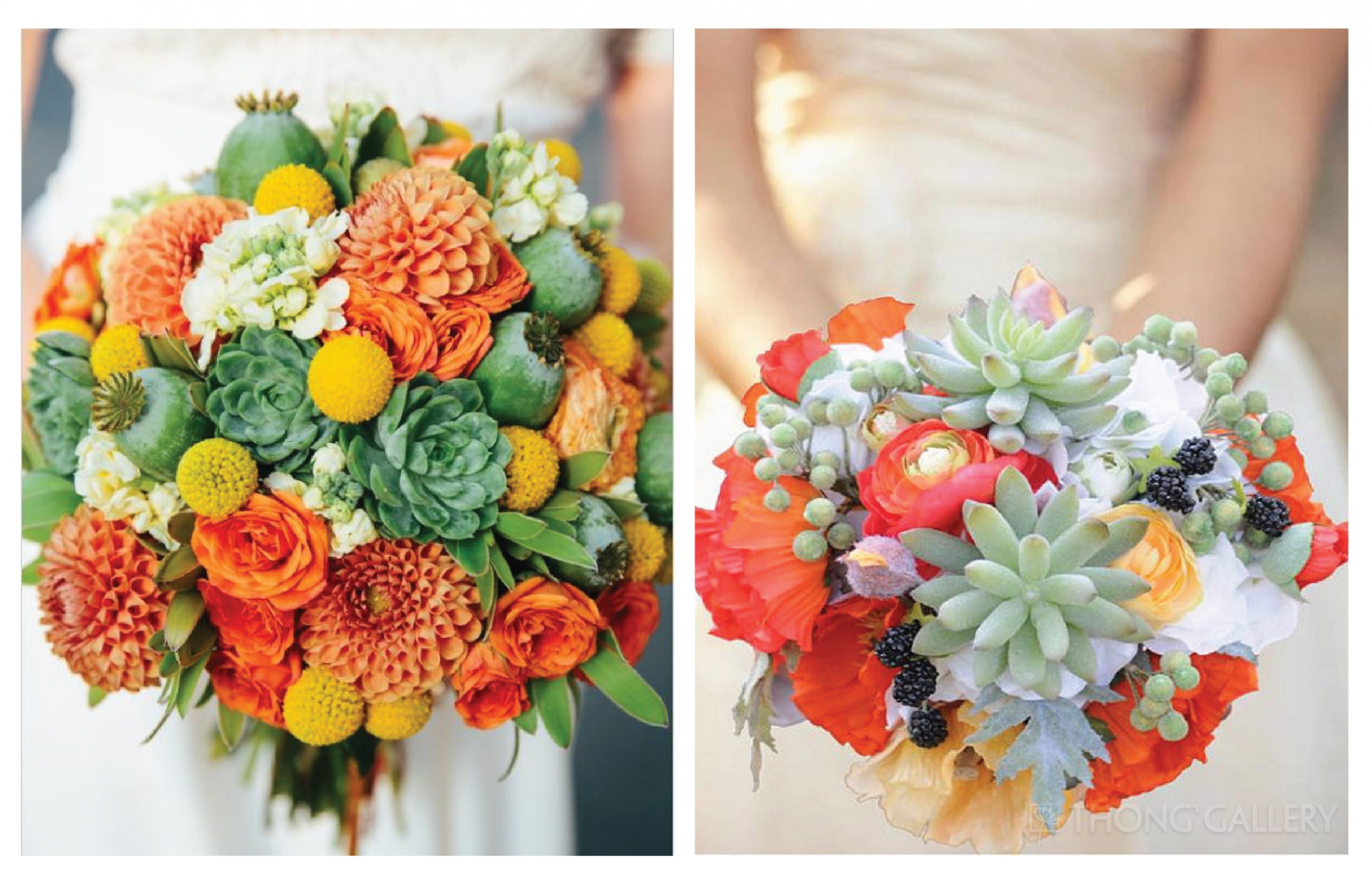 hoa cưới sen đá