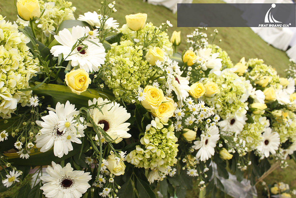 hoa cưới cẩm tú cầu