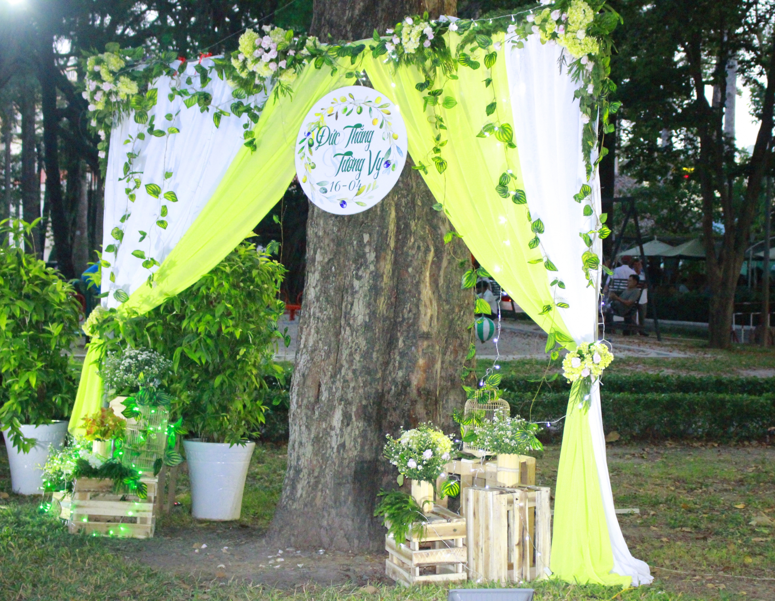 trang trí background chụp hình