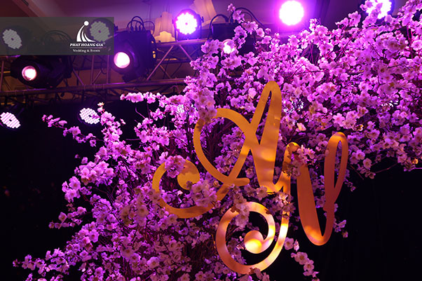 love story| Thi Ân & Phương Nga