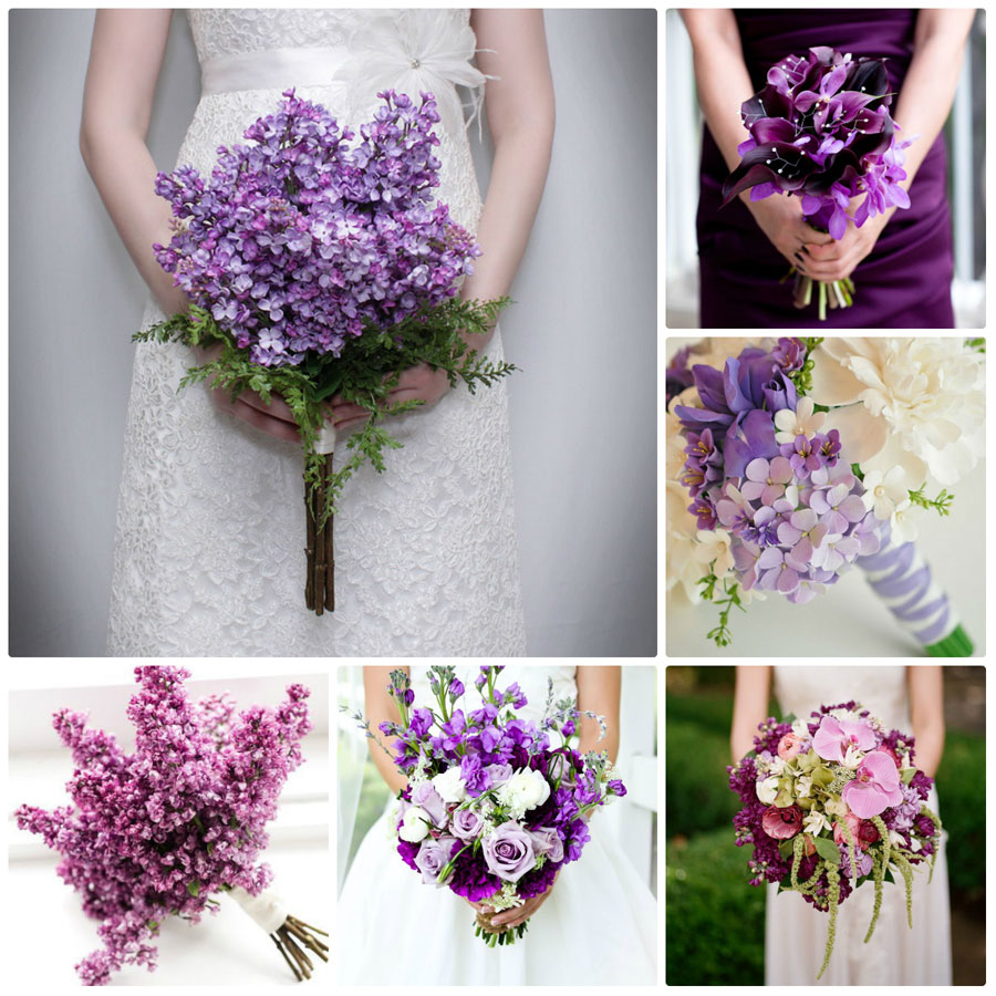 đám cưới màu tím