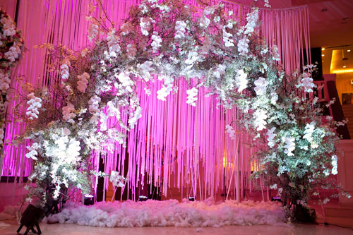 đám cưới màu tím