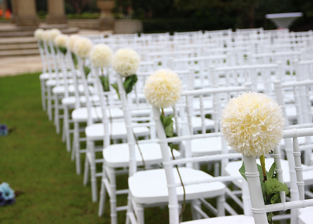 Trang trí ghế tiffany bằng hoa cẩm tú cầu