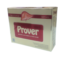 Prover