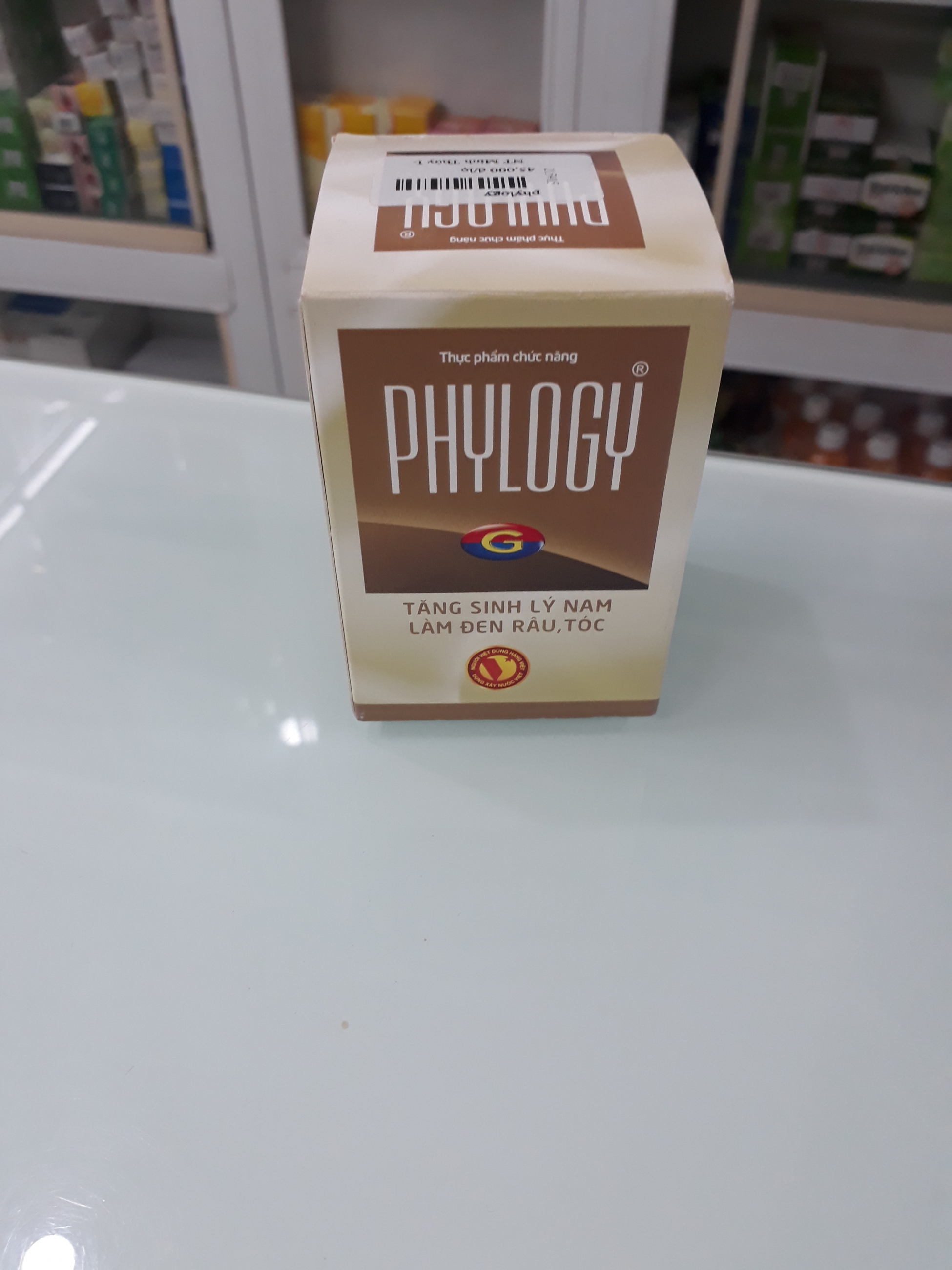 Phylogy