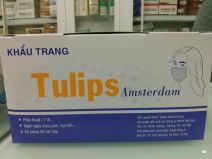 HẨU TRANG TULIPS
