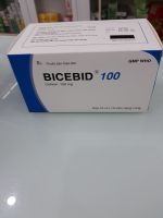 BICEBID 100