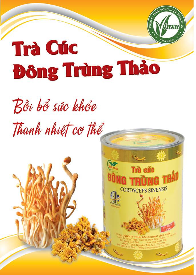 Trà cúc Đông Trùng Thảo