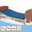 giuong-dien-p300-4-mo-to