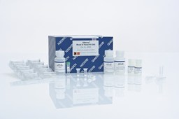 QIAamp DNA Blood mini Kit