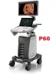 p60