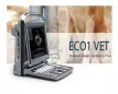 eco1-vet-cs