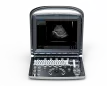 ECO1-1