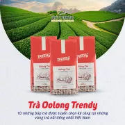 Nguyên Liệu Pha Chế Không Thể Thiếu Trong Kinh Doanh Tại Nghệ An - Trà Trendy