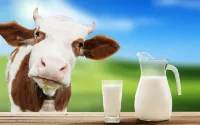 Đại Lý Phân Phối Sữa Tươi Giá Tốt Tại Vinh