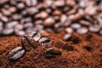Nhà Cung Cấp Bột Cafe Uy Tín Tại Vinh, Nghệ An