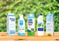 Nhà Cung Cấp Sữa Tươi Uy Tín Tại Vinh, Nghệ An