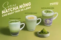 Tổng Kho Cung Cấp Bột Matcha Trendy Tại Vinh, Nghệ An