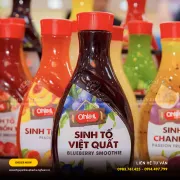 Địa Chỉ Cung Cấp Mứt Sinh Tố Tại Nghệ An