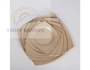DĨA DVC 05, DVC 06, DVC 07, DVC 08, DVC 09, DVC10 MÀU NÂU