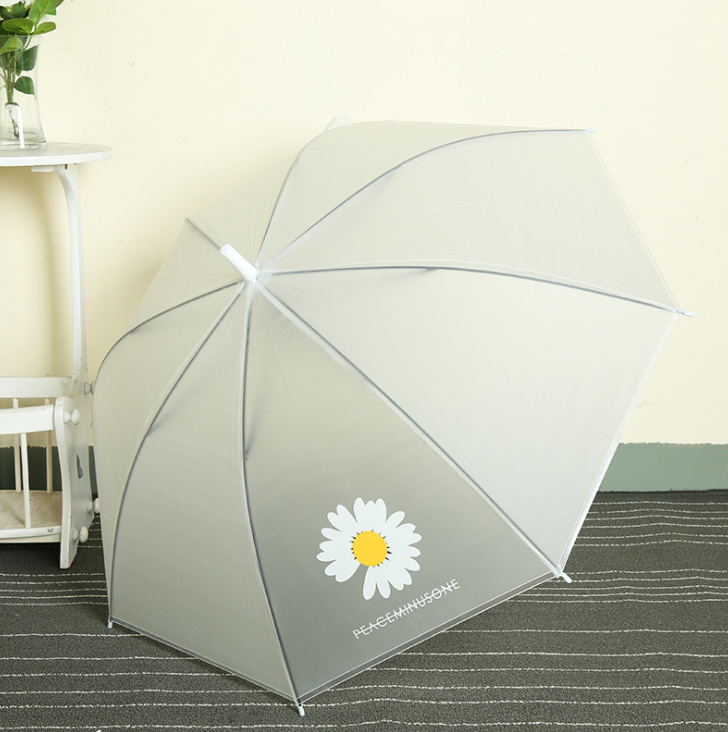 du-hoa-cuc-muahangsi-vn (1)