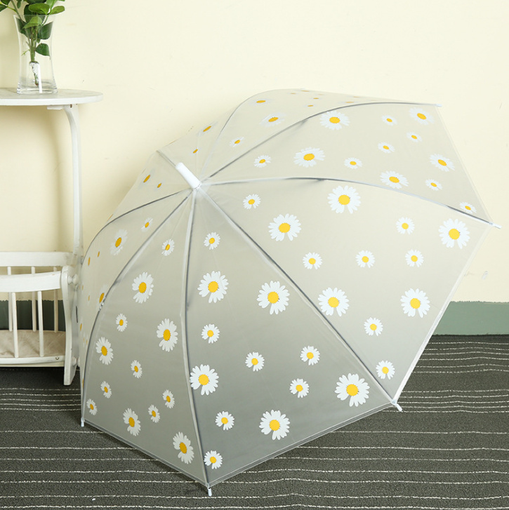 du-hoa-cuc-muahangsi-vn (3)