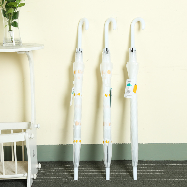 du-hoa-cuc-muahangsi-vn (6)