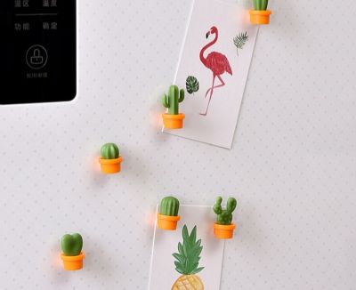 6 Miếng Hít Nam Châm Hình Xương Rồng