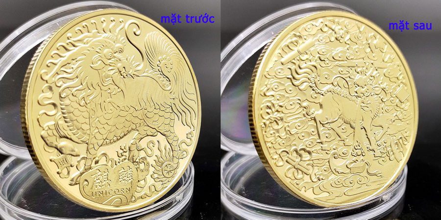 dong-xu-hinh-ki-lan (3)